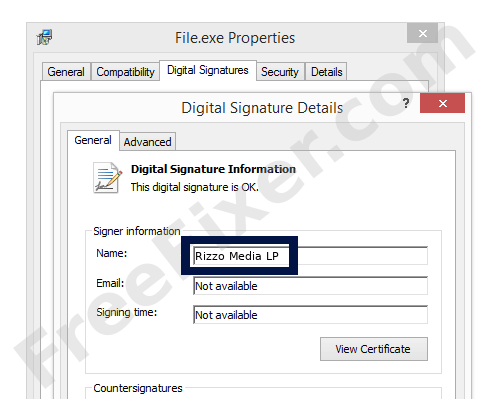 Screenshot of the Rizzo Media LP certificate